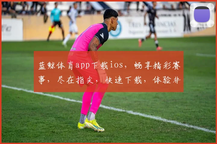 蓝鲸体育app下载ios，畅享精彩赛事，尽在指尖，快速下载，体验非凡