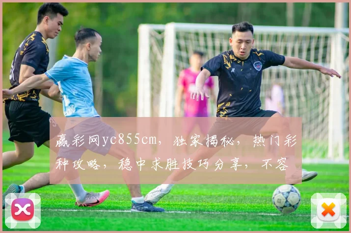 赢彩网yc855cm，独家揭秘，热门彩种攻略，稳中求胜技巧分享，不容错过