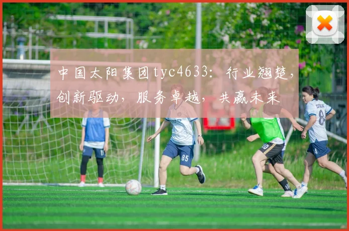 中国太阳集团tyc4633：行业翘楚，创新驱动，服务卓越，共赢未来