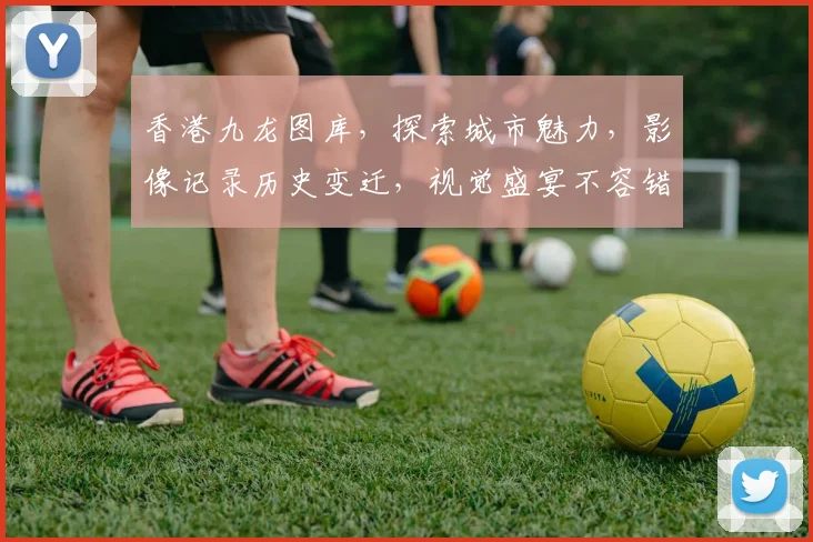香港九龙图库，探索城市魅力，影像记录历史变迁，视觉盛宴不容错过，必看攻略推荐