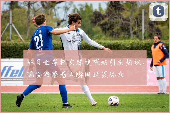 韩日世界杯女球迷喂奶引发热议，现场温馨感人瞬间逗笑观众